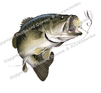 Largemouth Bass 