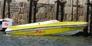 200hp Optimax Vented outboard Splash cover with custom print. #AustralianMade