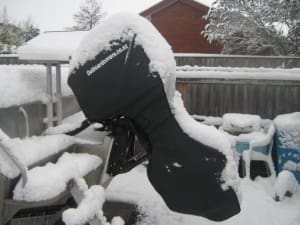 Mercury 100hp in the snow